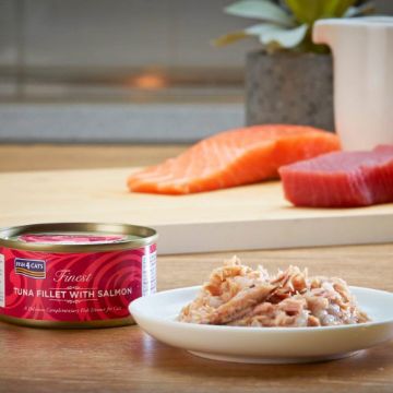 Fish4Cats Cans Tuna Fillet with Salmon 70g tin - Case of 10