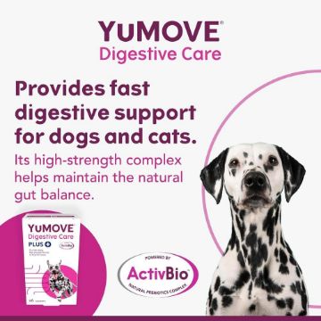 YuMOVE Digestive Care Plus+ 6-Sachet