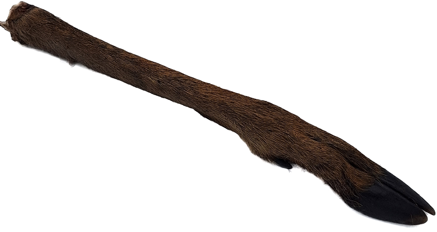 K9 Chew Co. Venison Legs - Pack of 10