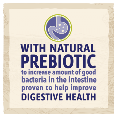 Beta Adult Dry Dog Food Sensitive Salmon