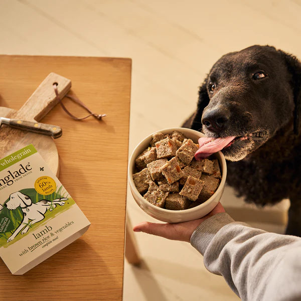 Forthglade Complete Senior Wholegrain Lamb & Brown Rice 18 x 395g