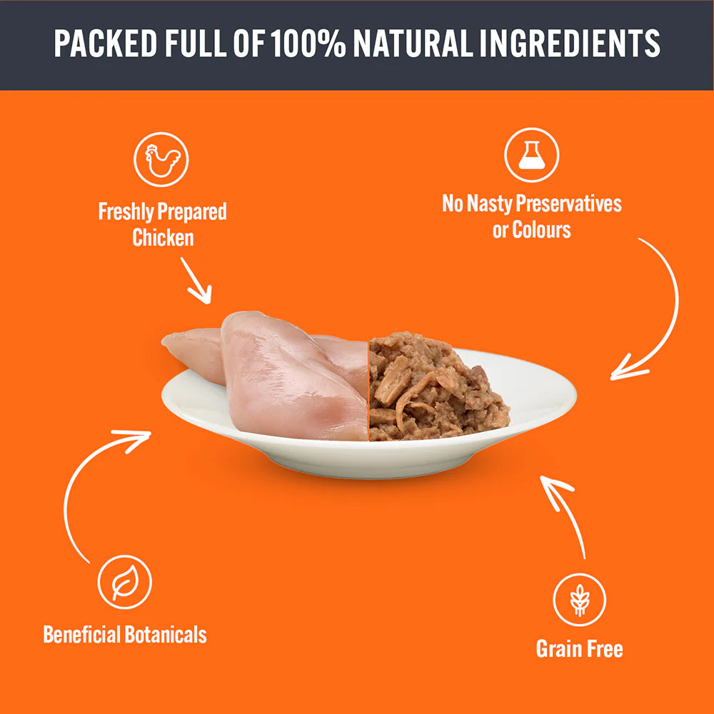 HiLife Cat Pouch Complete Chicken / Chicken with Beef Pate Wet Cat Food Pouches 32 x 70g