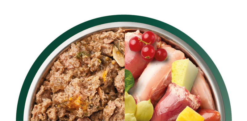 Country Hunter Dog Food Pheasant and Goose with Superfoods 6 x 600g