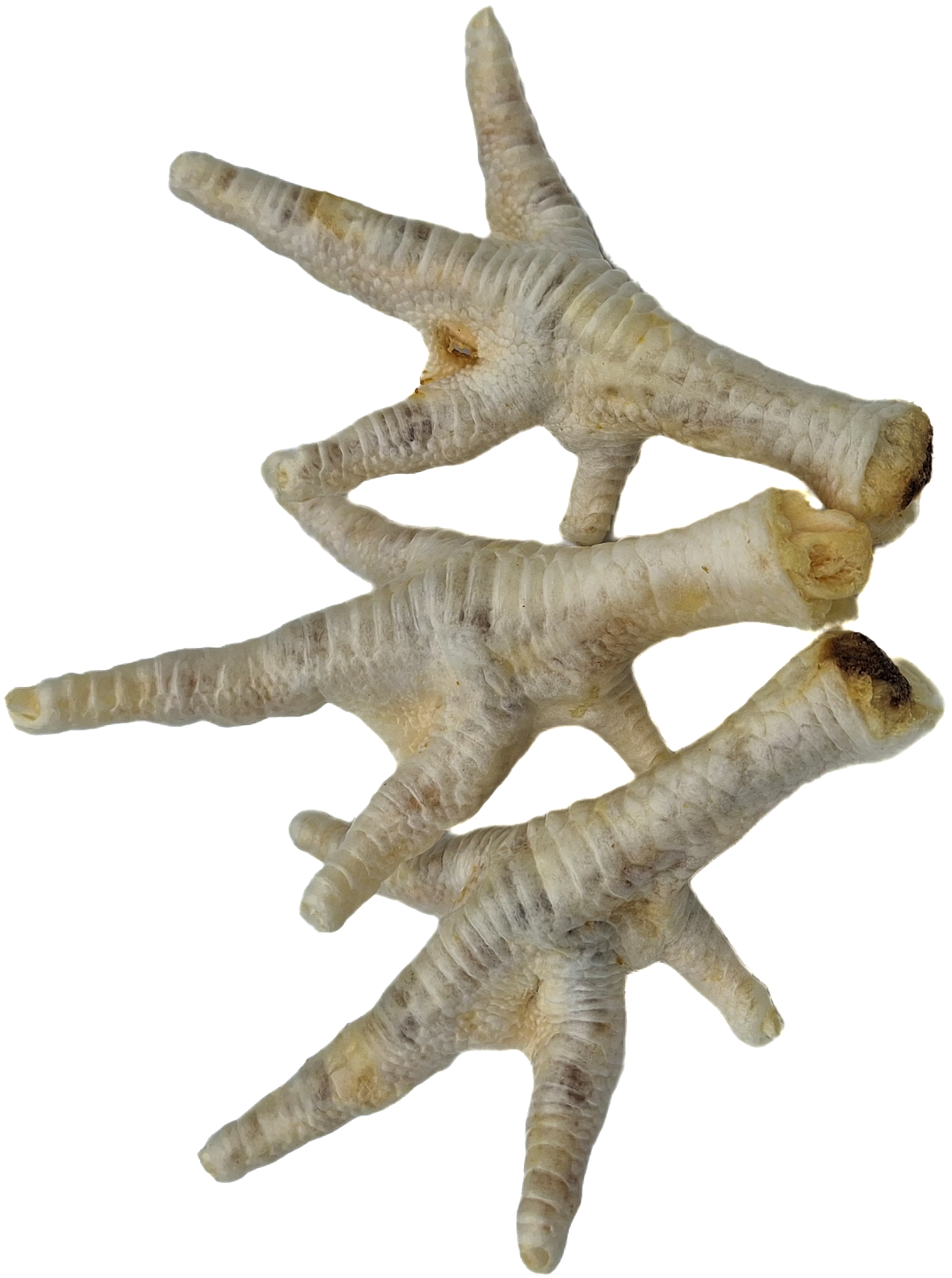 K9 Chew Co. Chicken Feet Puffed 1kg