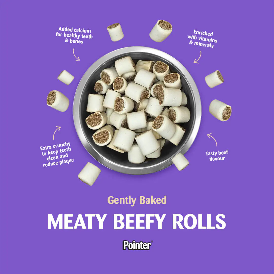Pointer Mini Rolls with Beef 12.5kg