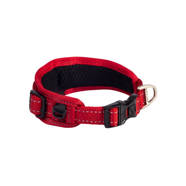 Rogz Classic Padded Collar