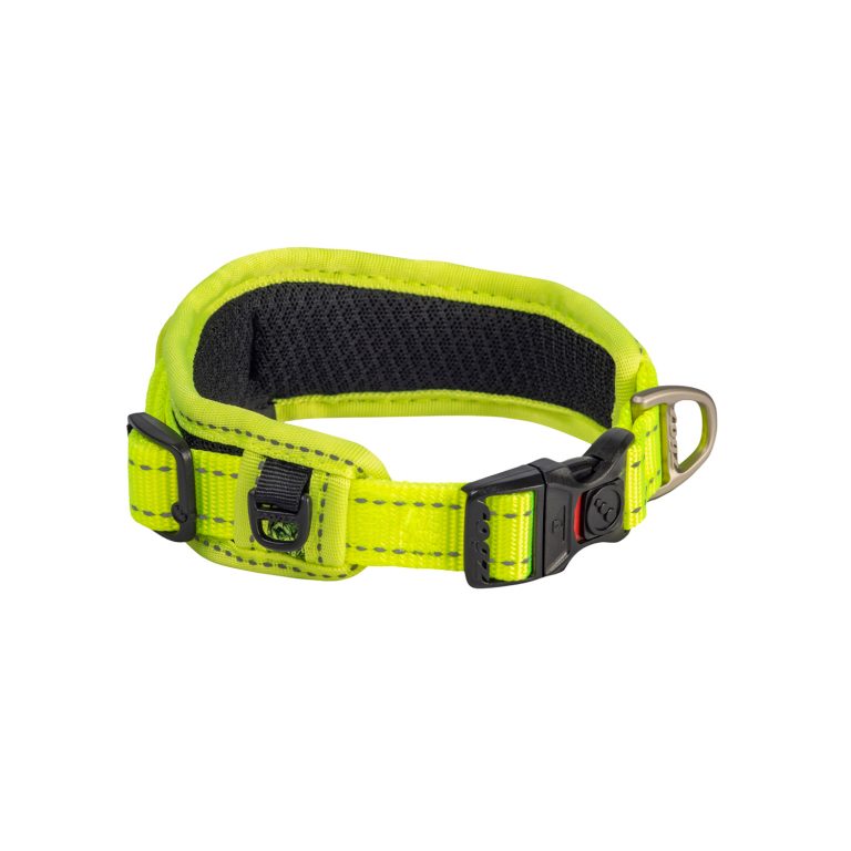 Rogz Classic Padded Collar