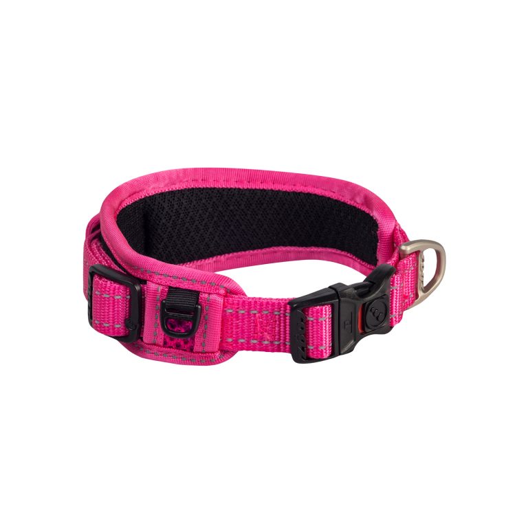 Rogz Classic Padded Collar