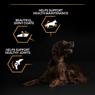 PRO PLAN Large Athletic Everyday Nutrition Chicken Dry Dog Food 14kg - Buy 2 SAVE 5%