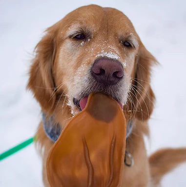 Whimzees Veggie Ear 55g - Case of 18