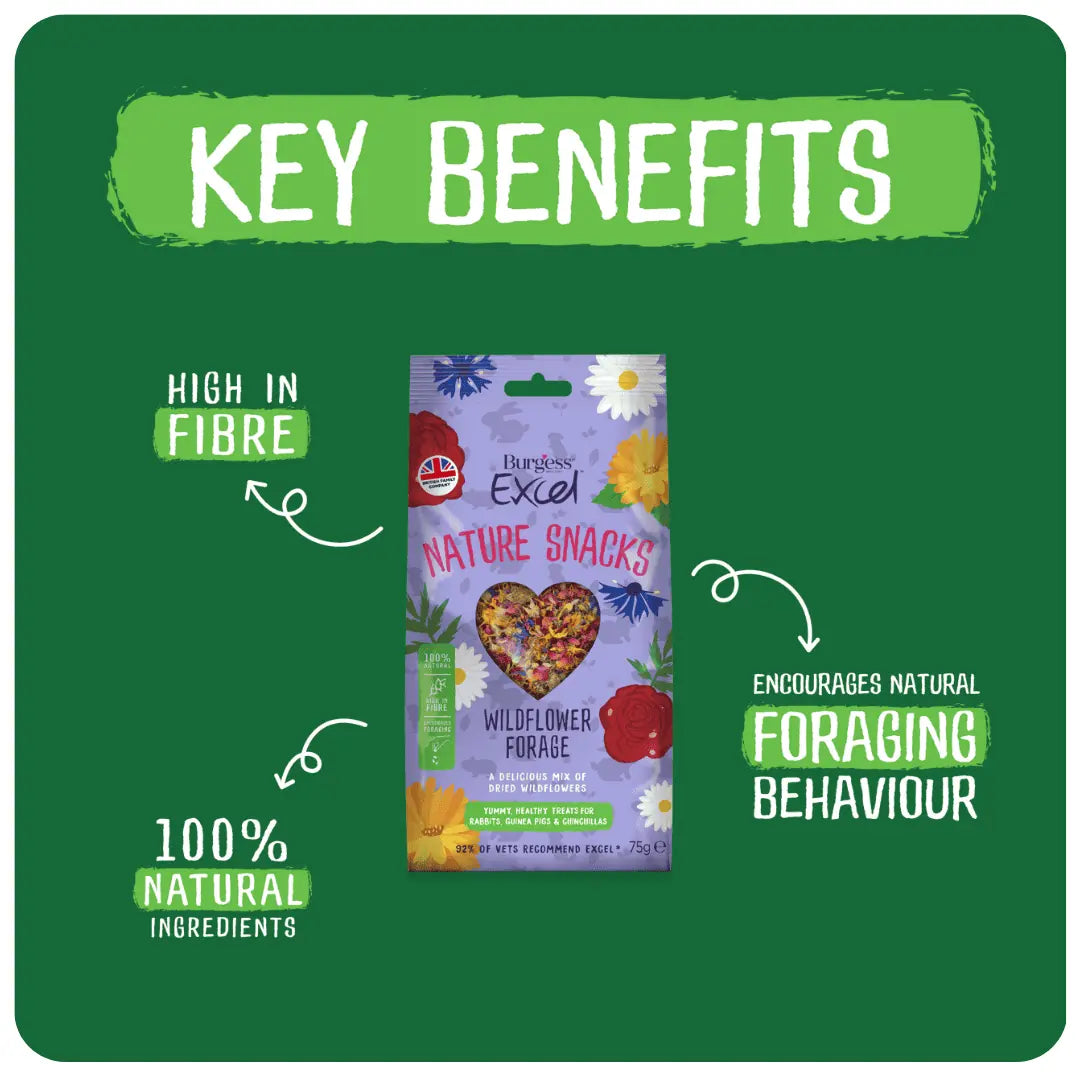 Burgess Excel Nature Snacks Wildflower Forage 75g - Case of 6