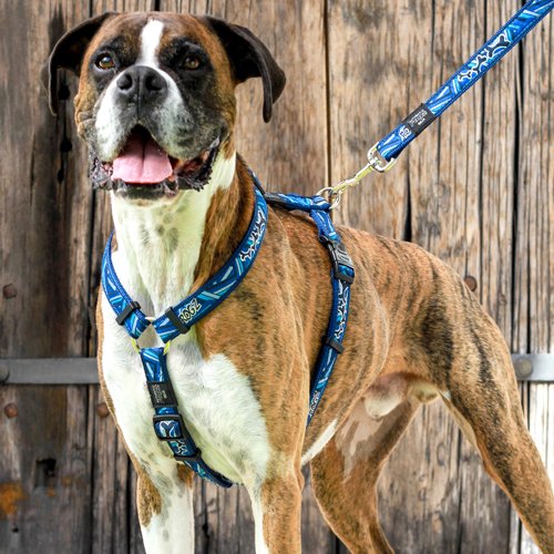 ROGZ Fancy Dress Lead Navy Paw