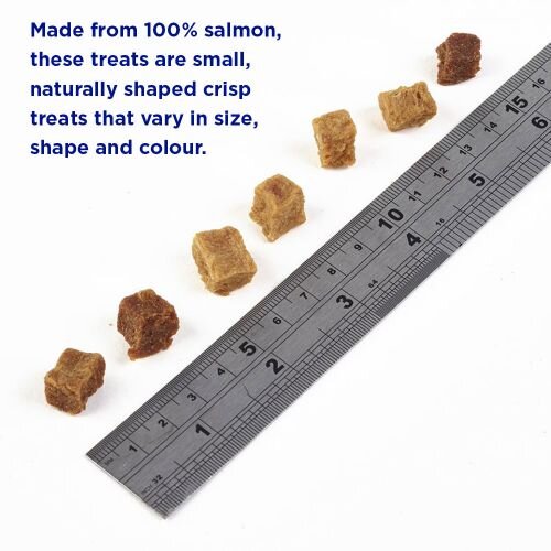 Fish4Dogs ADULT Salmon Bites Training Treats 80g - Case of 10