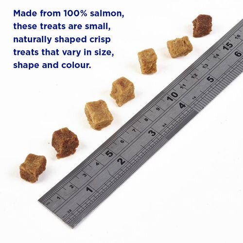 Fish4Dogs ADULT Salmon Bites Training Treats 80g