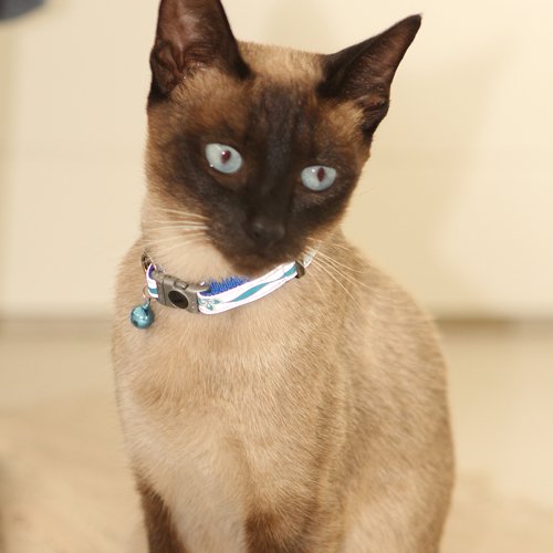 Rogz Nightcat Safety Cat Collar