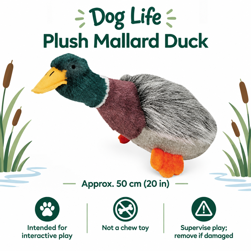 Dog Life Plush Mallard Duck infographic draft