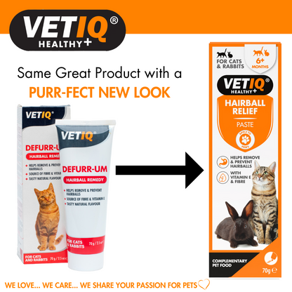 VETIQ Defurr-Um Cat Hairball Remedy 70g