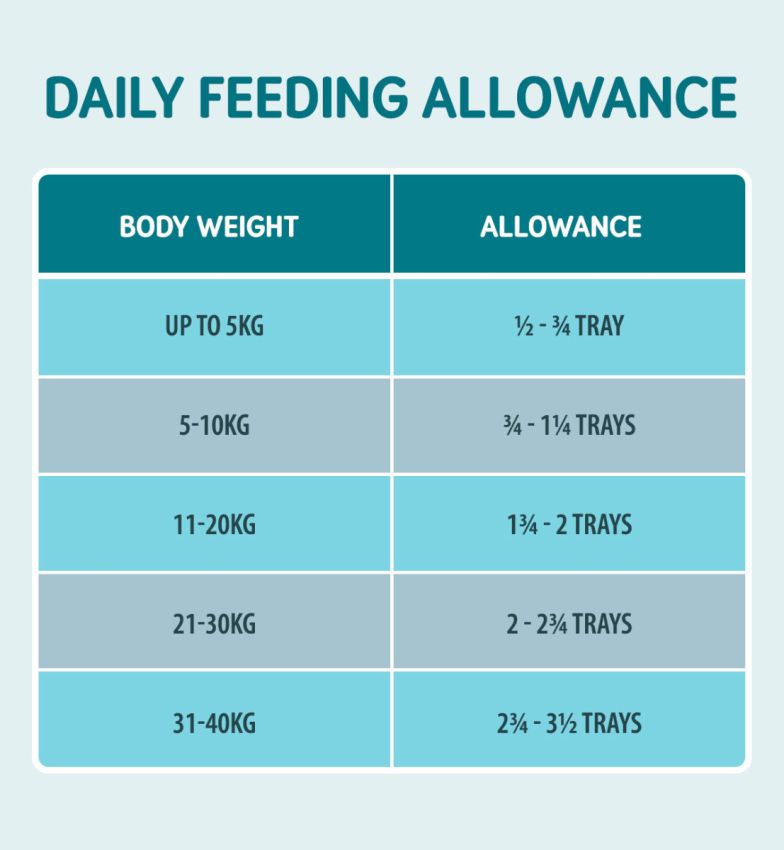 Naturo Tray Senior Dog Turkey Rice & Veg 7 x 400g