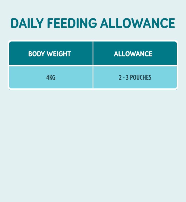 Naturo Cat Aault Chicken Paté Pouch 85g - Case of 12