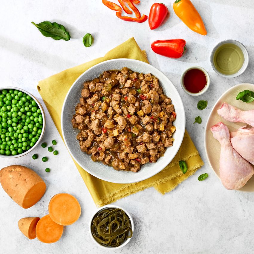 Naturo Adult Dog Pouch Chicken in Herb Gravy 100g - Case of 12
