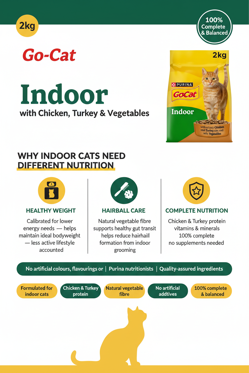 Go-Cat Indoor Infographic