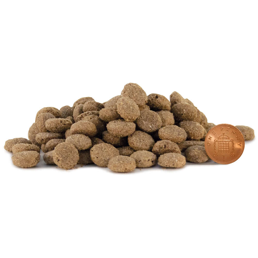 Lovejoys Lamb Pure & Simple Grain Free Complete Adult Dog Food 12kg - Buy 2 SAVE 5%