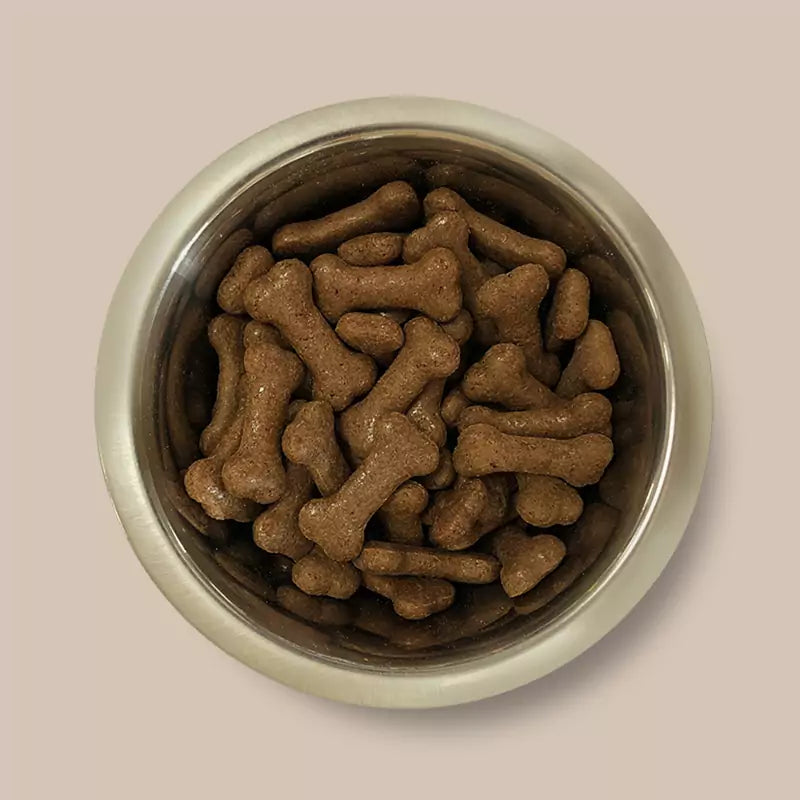 Pointer Gravy Bones - Beef