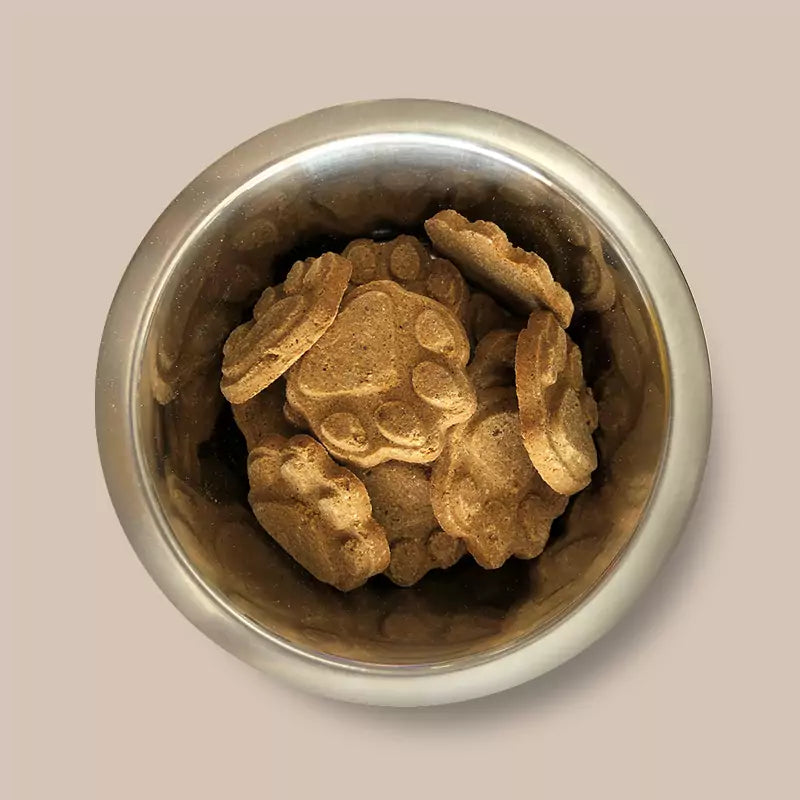 Pointer Wheat Free Peanut Butter Paw 10kg - Free P&P