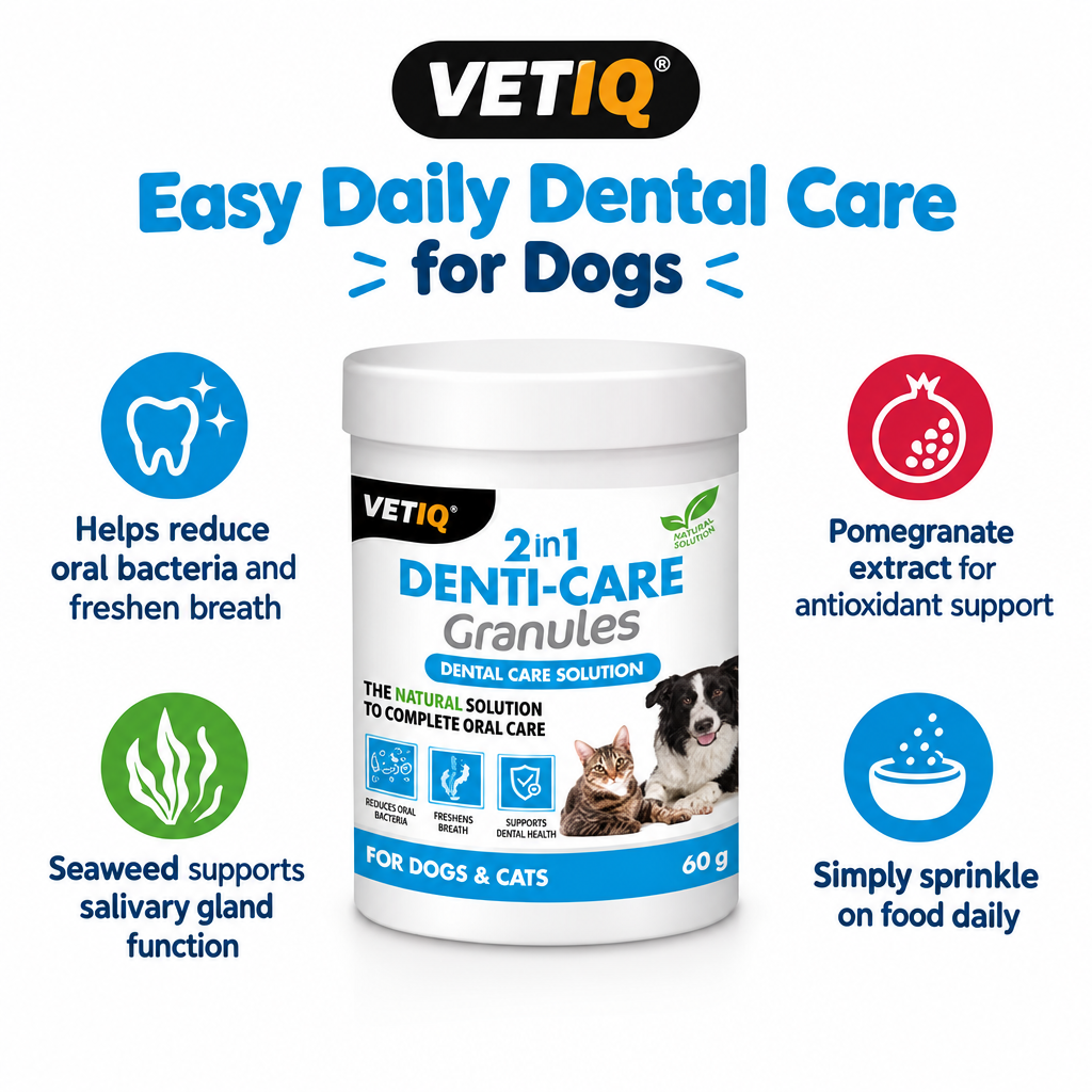 VETIQ 2-In-1 Denticare Granules infographic