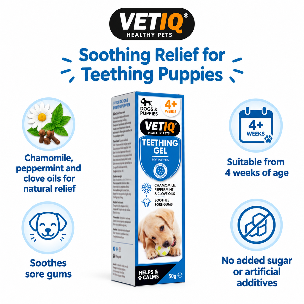 VETIQ Teething Gel infographic