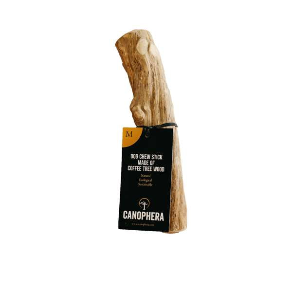 Canophera Coffee Tree Wood Dog Chew