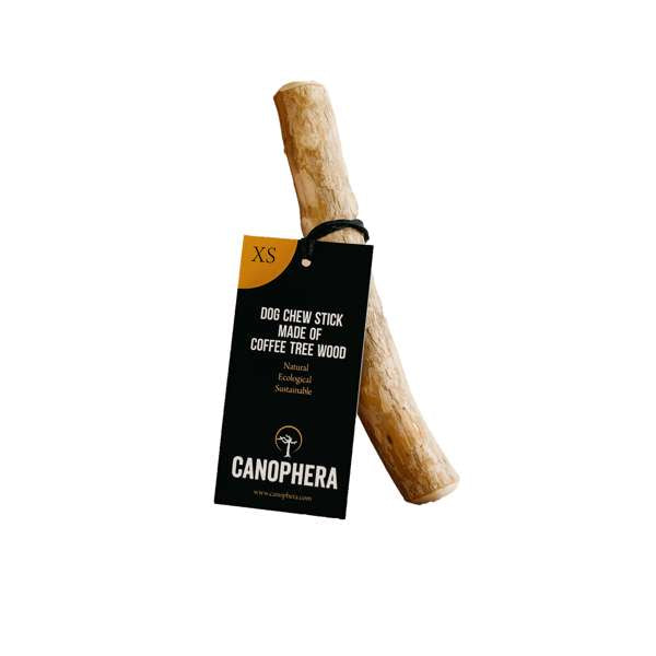 Canophera Coffee Tree Wood Dog Chew