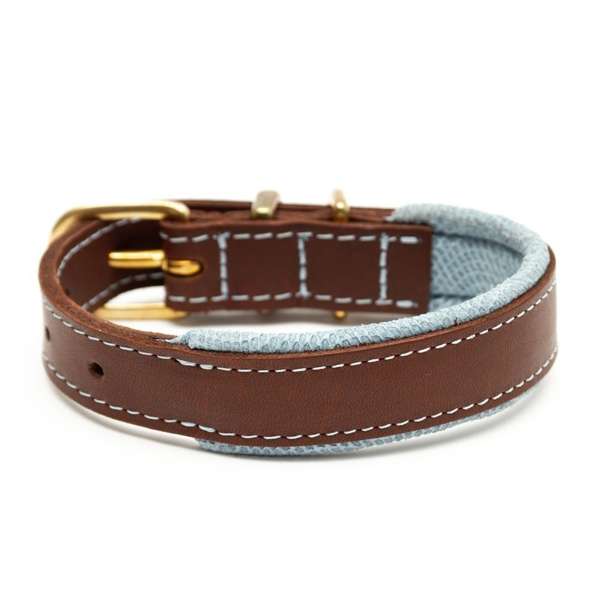 Great & Small Hawkhurst Padded Leather Dog Collar