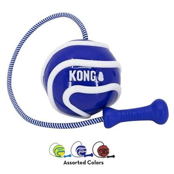 KONG Wavz Bunjiball