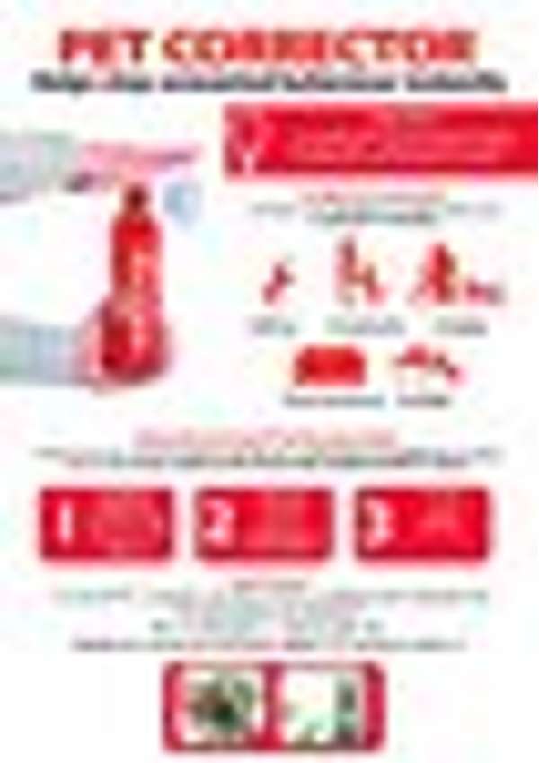 Pet Corrector Holster