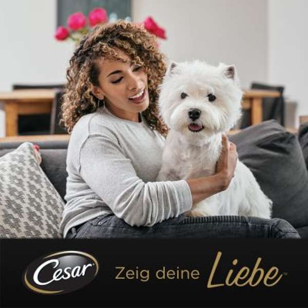 Cesar Senior 10-Yers Plus In Delicate Jelly 8 x 150g - Case of 3