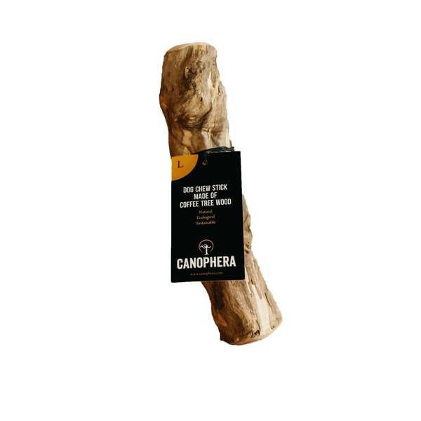 Canophera Coffee Tree Wood Dog Chew