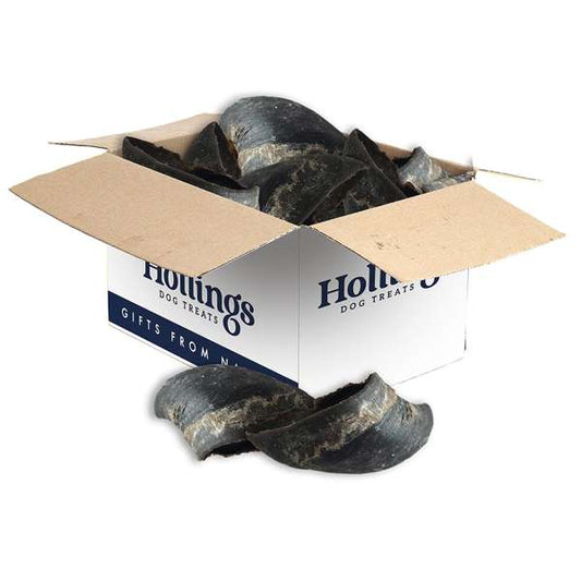 Hollings Plain Hooves Box of 25