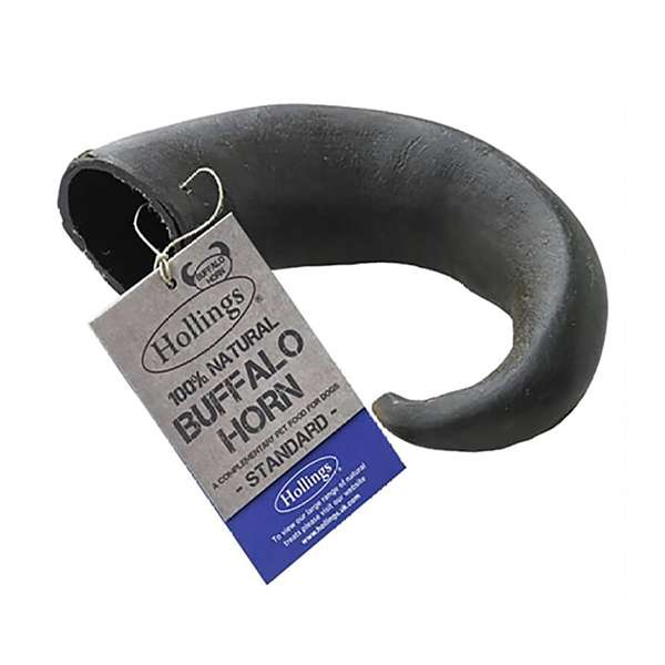 Hollings Buffalo Horn Dog Treat Standard