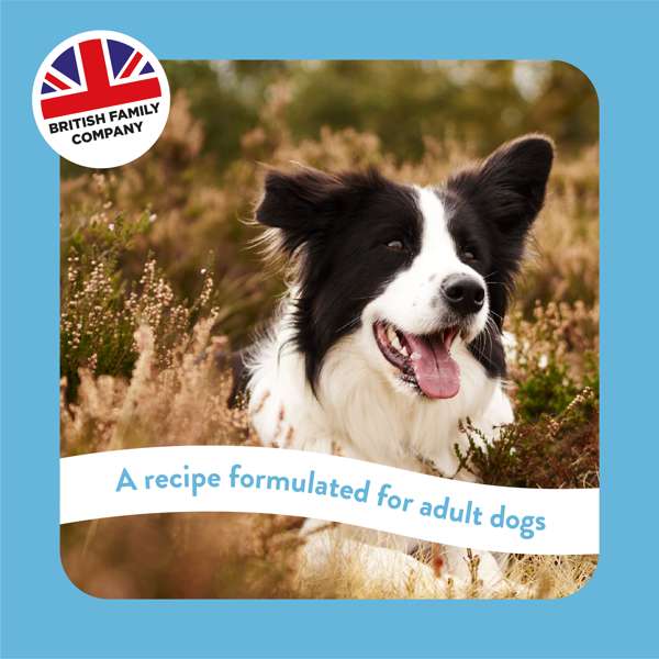 Burgess Supadog Active Dog 12.5kg - Buy 2 SAVE 5%