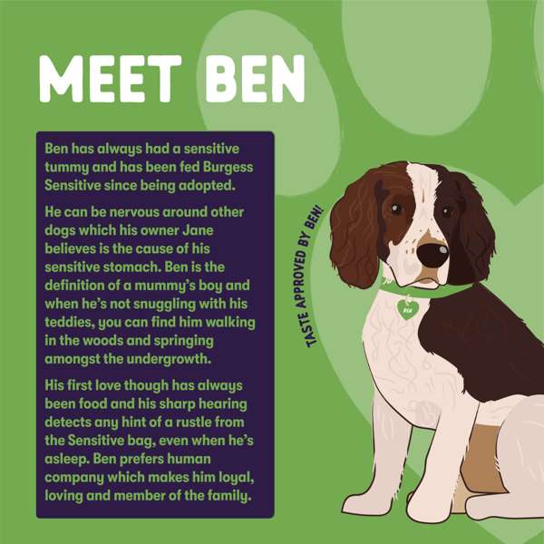 Burgess Sensitive Adult Lamb & Rice