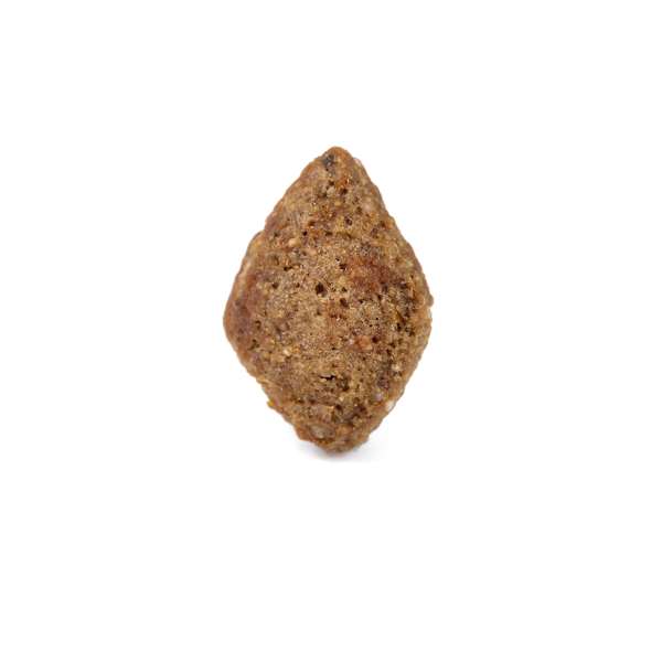 Arden Grange Adult Salmon & Rice Dog Food