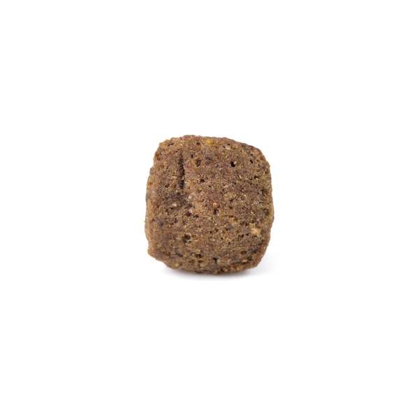 Arden Grange Senior Dog Food