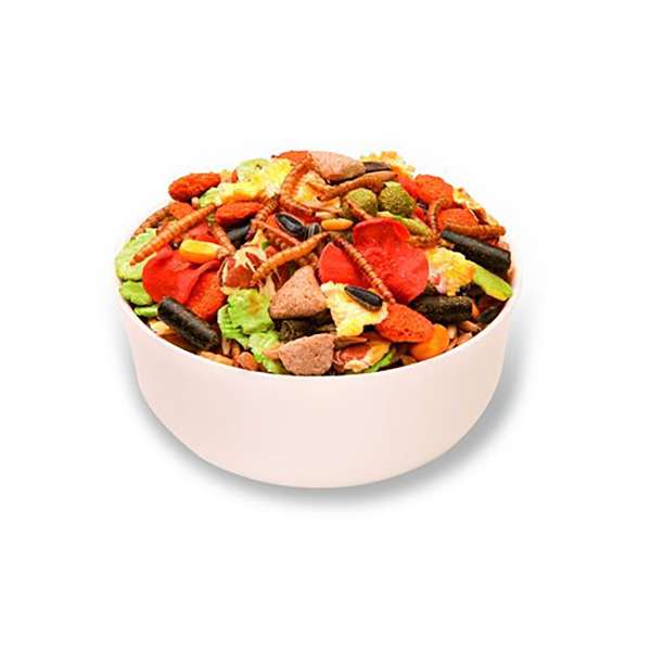 Mr Johnsons Supreme Rat & Mouse Mix in bowl