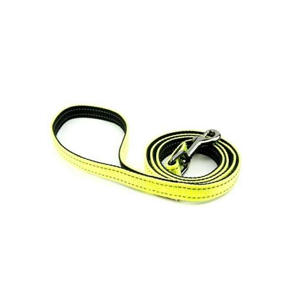 Great & Small Hivis Lead