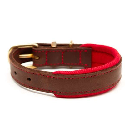 Great & Small Hawkhurst Padded Leather Dog Collar