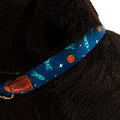 Great & Small Space Collar