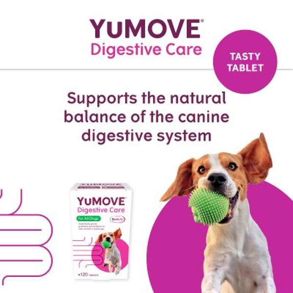 Yumove Digestive Care For All Dogs (300 Pack)