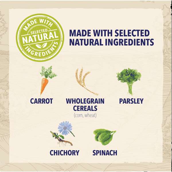 Beta Adult Large Breed Turkey 14kg