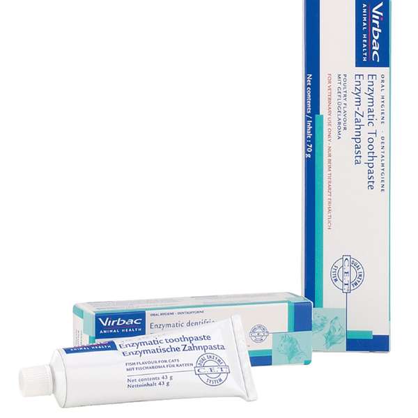 Enzymatic Toothpaste Fish